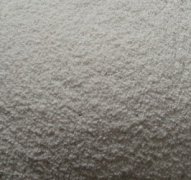 硅藻土載體